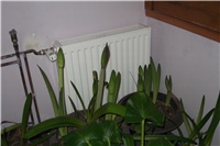 e0c95341-Picture 044.jpg